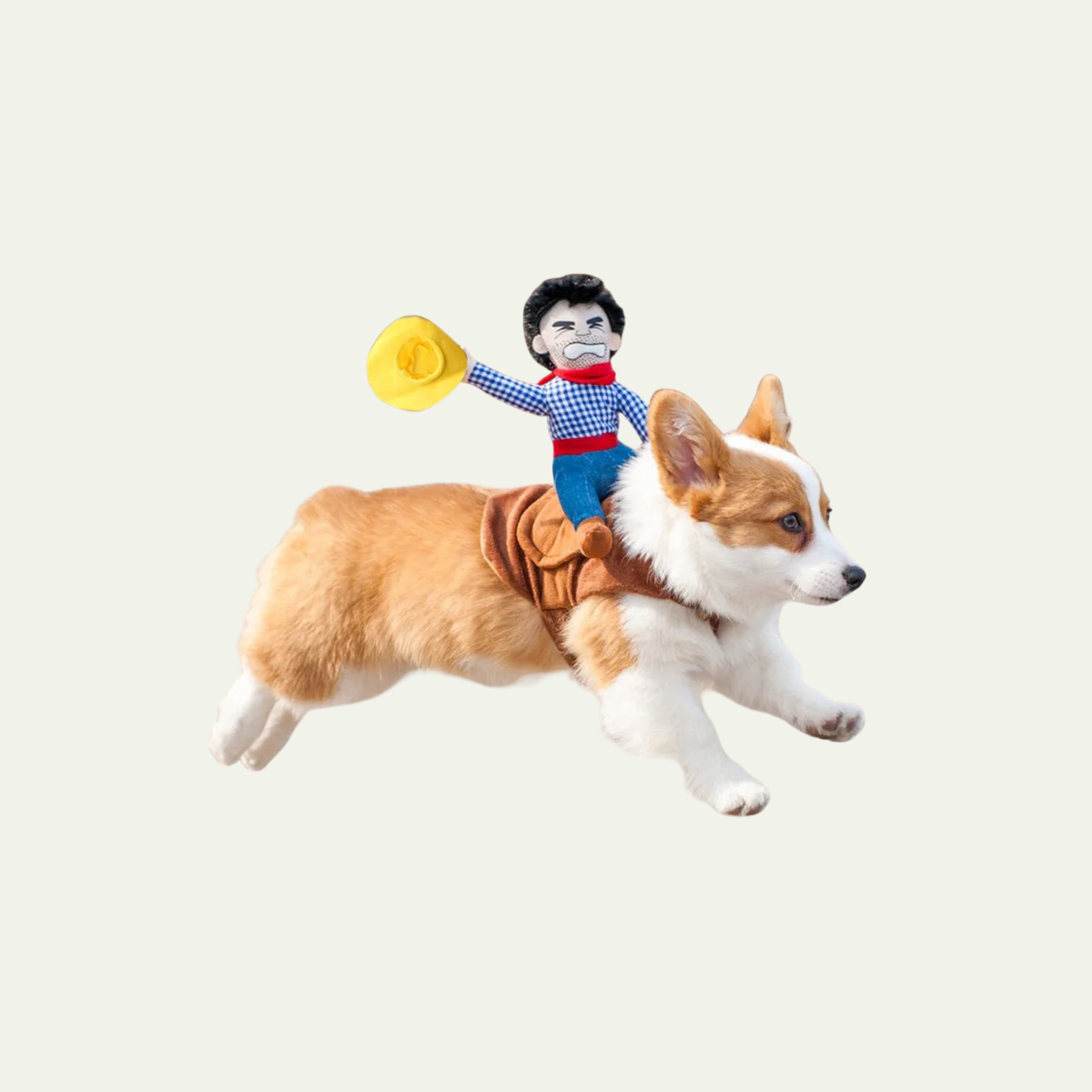 Cowboy Rider Dog Costume — Funny Halloween Jacket for Small & Large Dogs