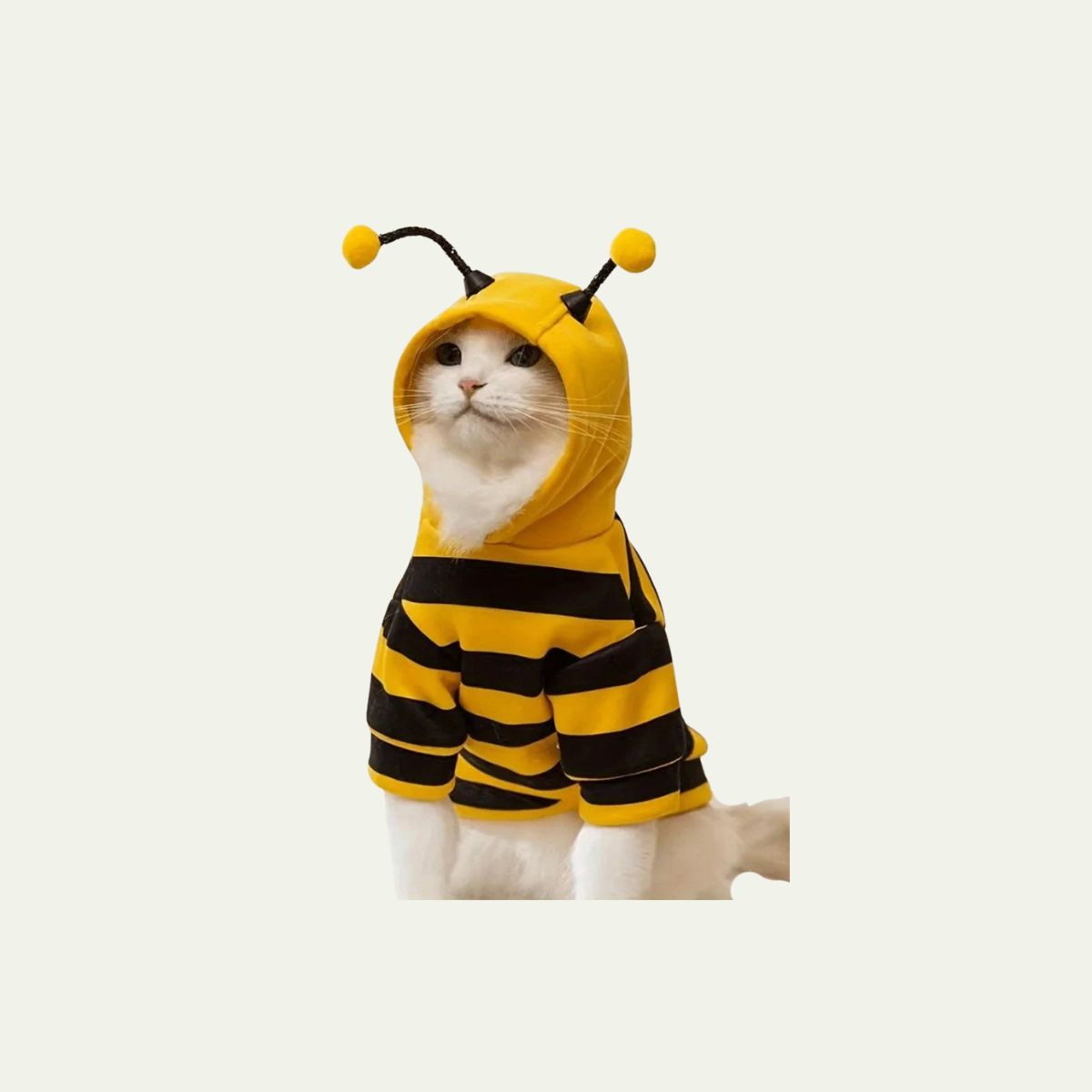 Bee Costume Hoodie for Dogs & Cats — Warm Halloween & Party Outfit