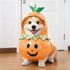 Funny "Rider" Pet Costume — Halloween & Christmas Outfits for Dogs & Cats