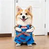 Funny "Rider" Pet Costume — Halloween & Christmas Outfits for Dogs & Cats