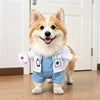 Funny "Rider" Pet Costume — Halloween & Christmas Outfits for Dogs & Cats