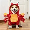Funny "Rider" Pet Costume — Halloween & Christmas Outfits for Dogs & Cats