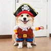 Funny "Rider" Pet Costume — Halloween & Christmas Outfits for Dogs & Cats
