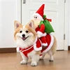Funny "Rider" Pet Costume — Halloween & Christmas Outfits for Dogs & Cats