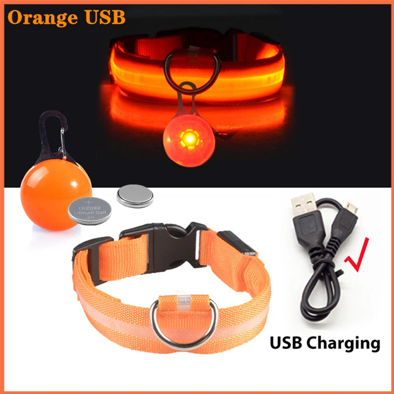 USB Glowing Safety Dog Collar — LED Night-Walk Collar (Pendant & Battery Options)