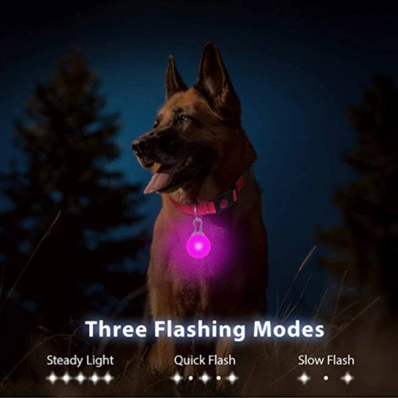 USB Glowing Safety Dog Collar — LED Night-Walk Collar (Pendant & Battery Options)