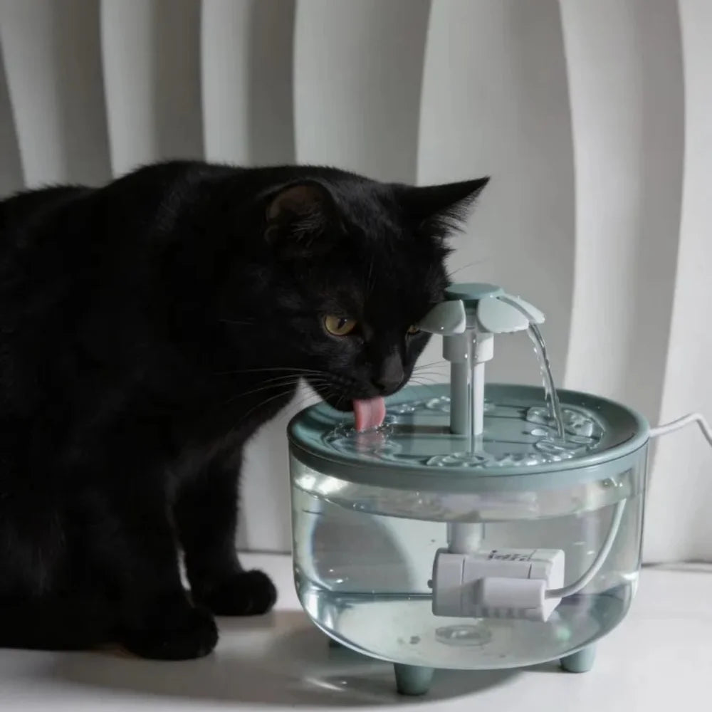 Automatic Pet Water Fountain — Large Capacity Filtered Dispenser for Cats & Small Dogs
