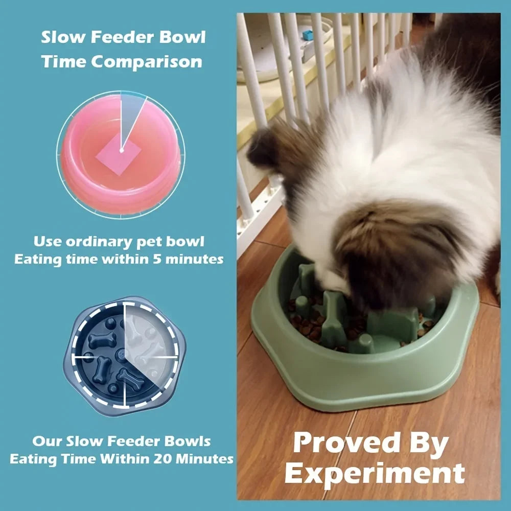 Large Capacity Slow Feeder Bowl — Anti-Slip Anti-Gulping Pet Bowl for Dogs & Cats