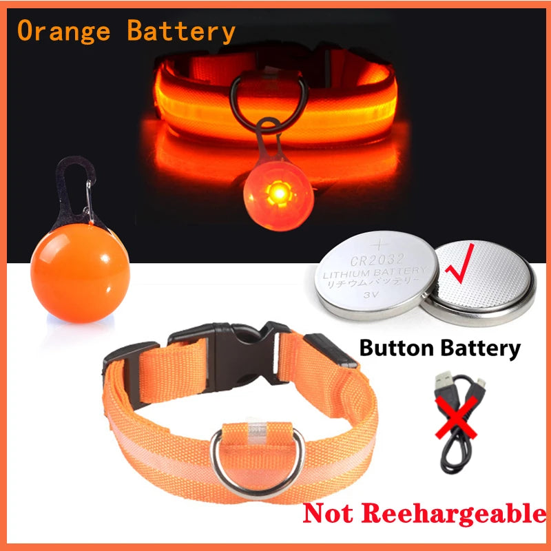USB Glowing Safety Dog Collar — LED Night-Walk Collar (Pendant & Battery Options)