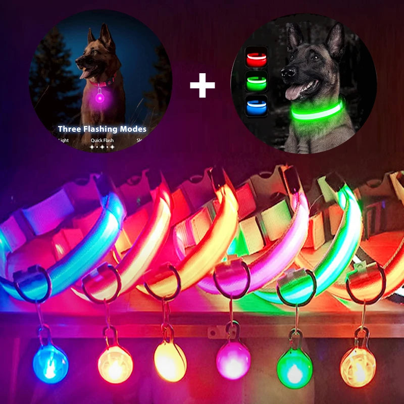 USB Glowing Safety Dog Collar — LED Night-Walk Collar (Pendant & Battery Options)