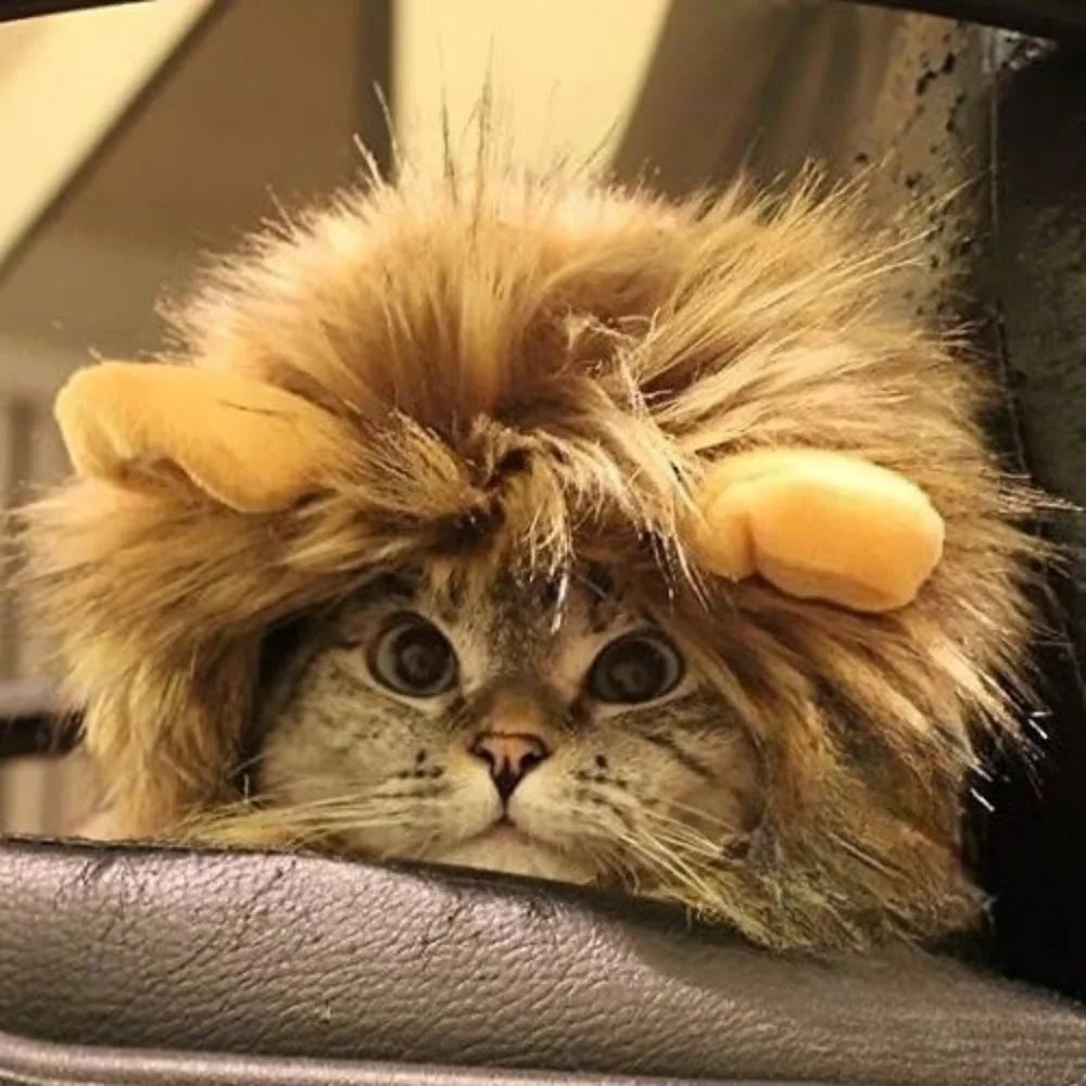 Lion Mane Costume for Cats & Dogs — Washable Halloween Headpiece