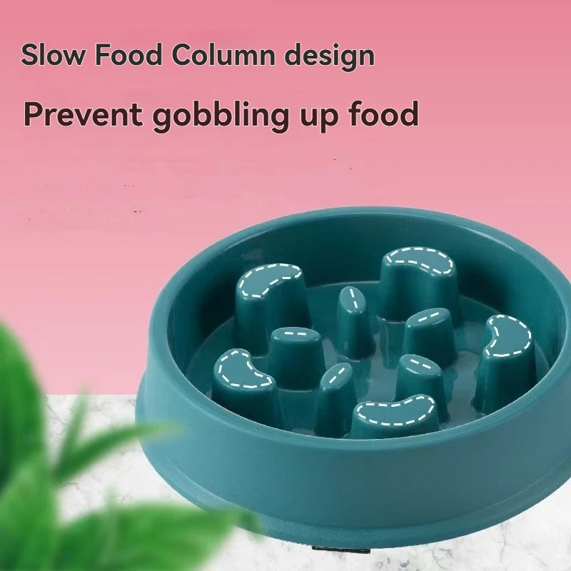 Anti-Choke Slow Feeder Bowl for Dogs & Cats — Anti-Tip Base
