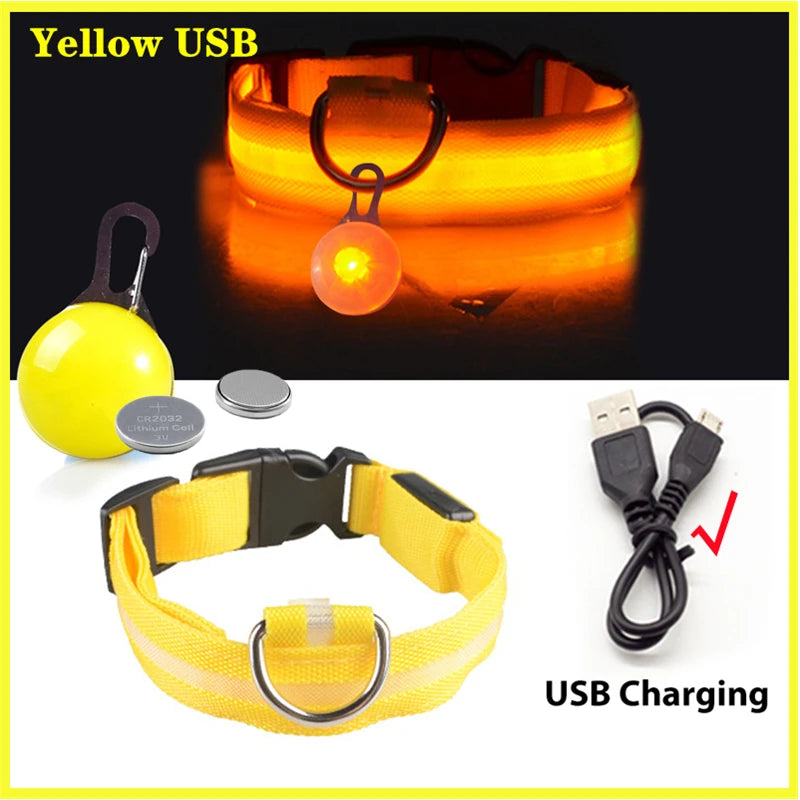 USB Glowing Safety Dog Collar — LED Night-Walk Collar (Pendant & Battery Options)