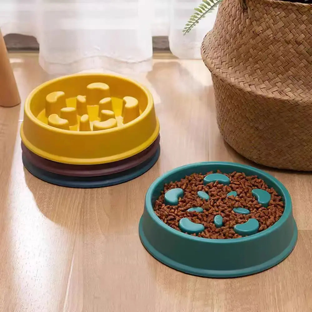 Anti-Choke Slow Feeder Bowl for Dogs & Cats — Anti-Tip Base