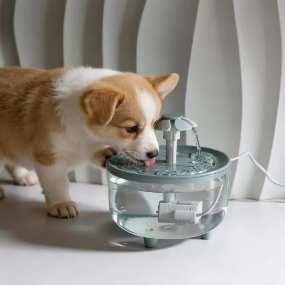 Automatic Pet Water Fountain — Large Capacity Filtered Dispenser for Cats & Small Dogs
