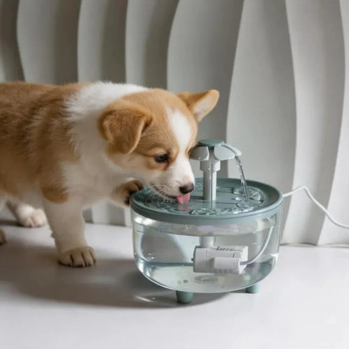 Automatic Pet Water Fountain — Large Capacity Filtered Dispenser for Cats & Small Dogs