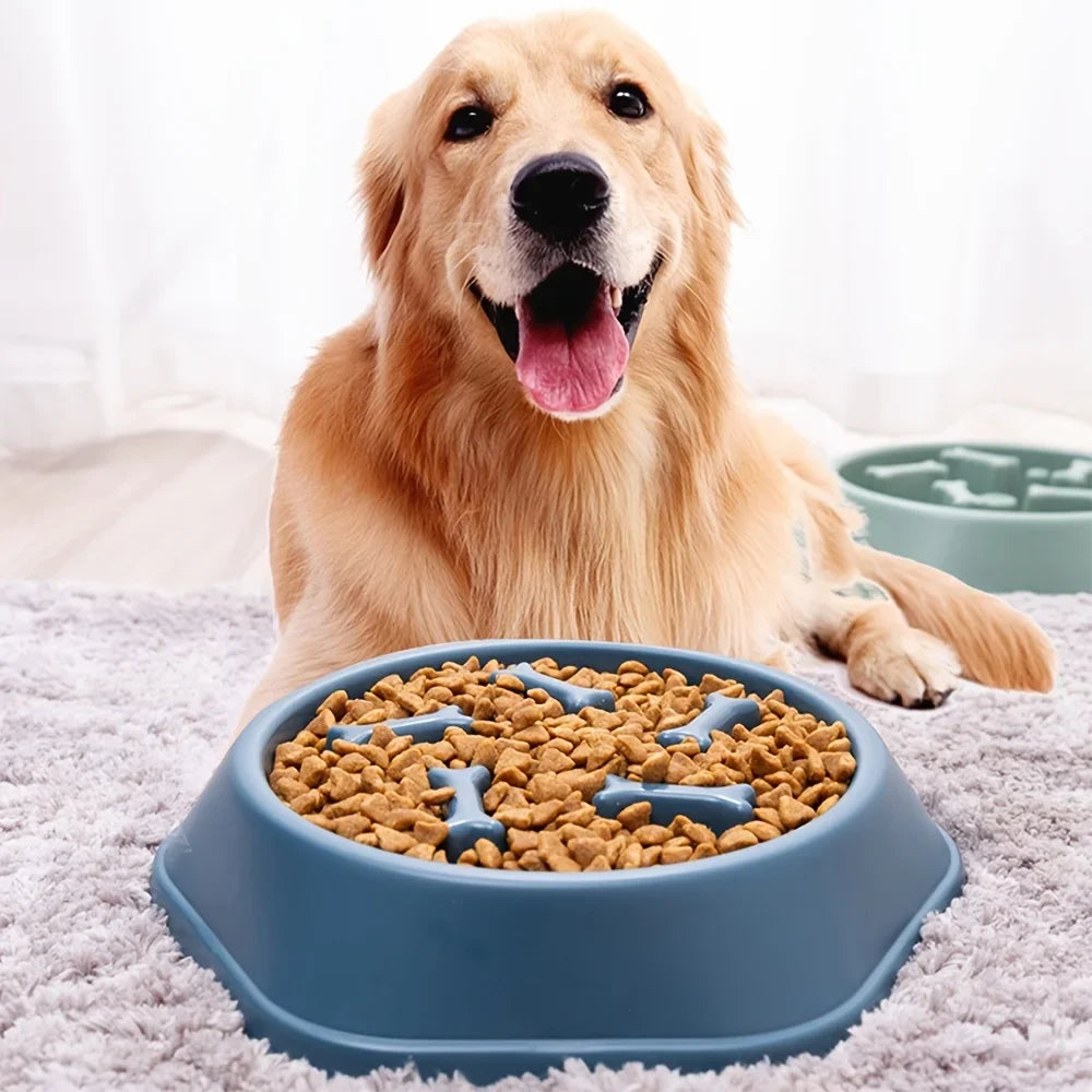 Large Capacity Slow Feeder Bowl — Anti-Slip Anti-Gulping Pet Bowl for Dogs & Cats