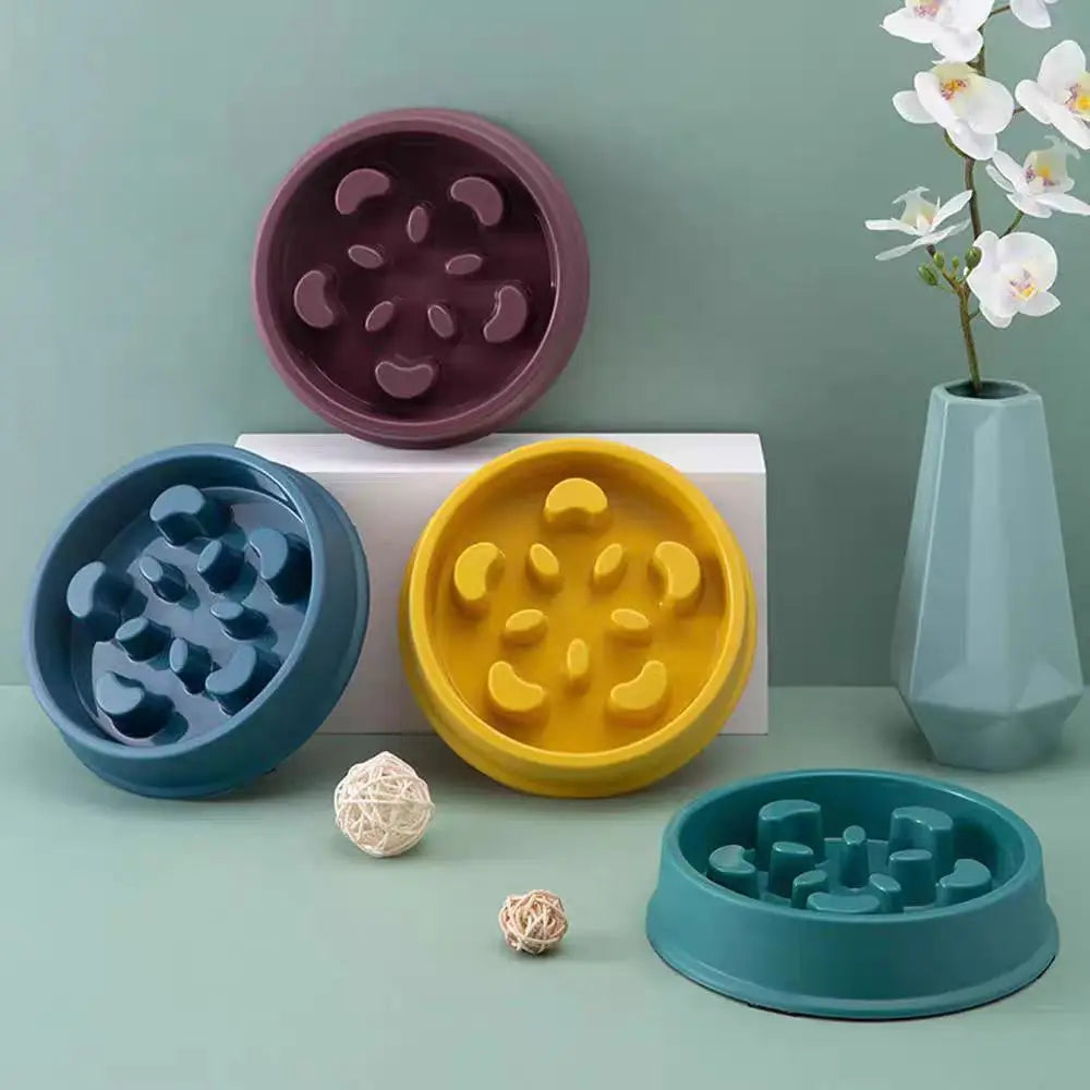 Anti-Choke Slow Feeder Bowl for Dogs & Cats — Anti-Tip Base