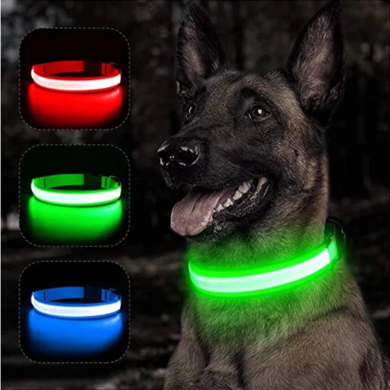 USB Glowing Safety Dog Collar — LED Night-Walk Collar (Pendant & Battery Options)