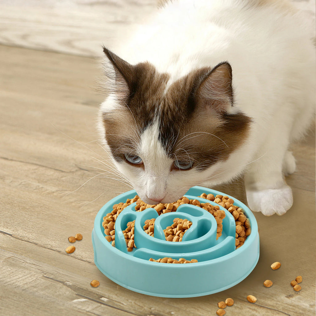 Maze-Style Slow Feeder Bowl — Anti-Gulping Pet Dish for Dogs & Cats