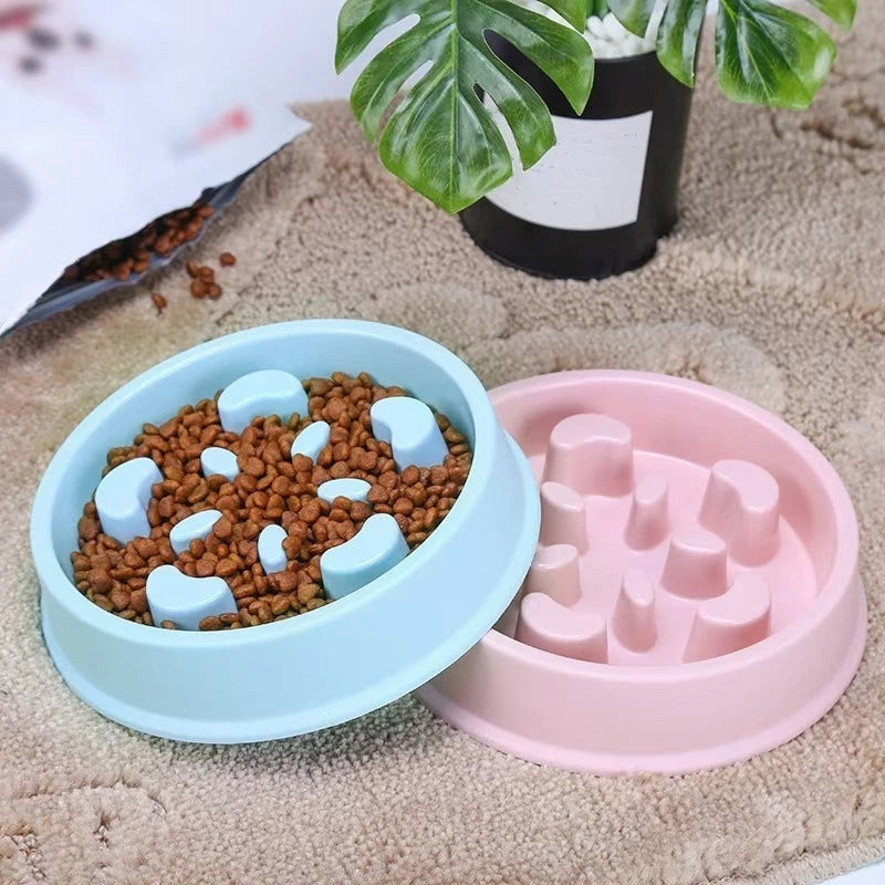 Anti-Choke Slow Feeder Bowl for Dogs & Cats — Anti-Tip Base