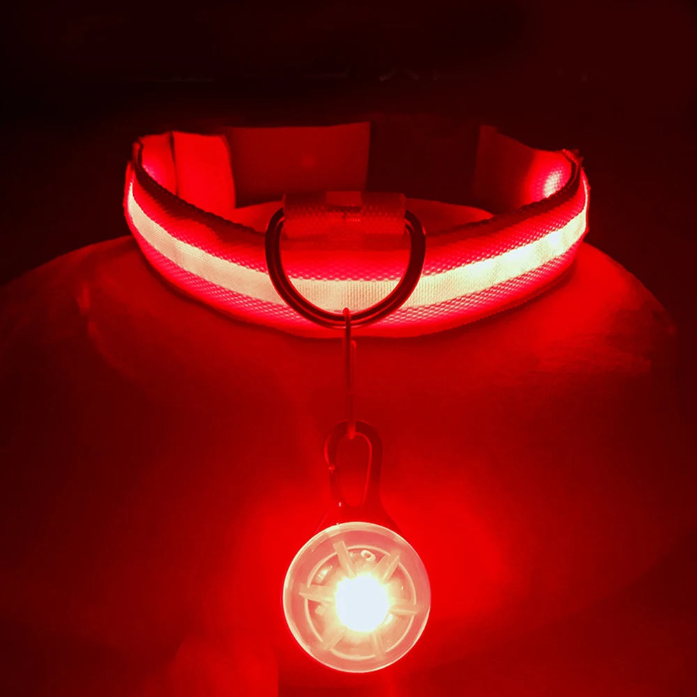 USB Glowing Safety Dog Collar — LED Night-Walk Collar (Pendant & Battery Options)