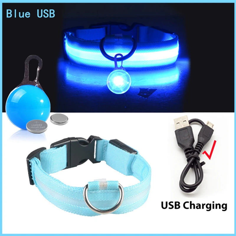 USB Glowing Safety Dog Collar — LED Night-Walk Collar (Pendant & Battery Options)