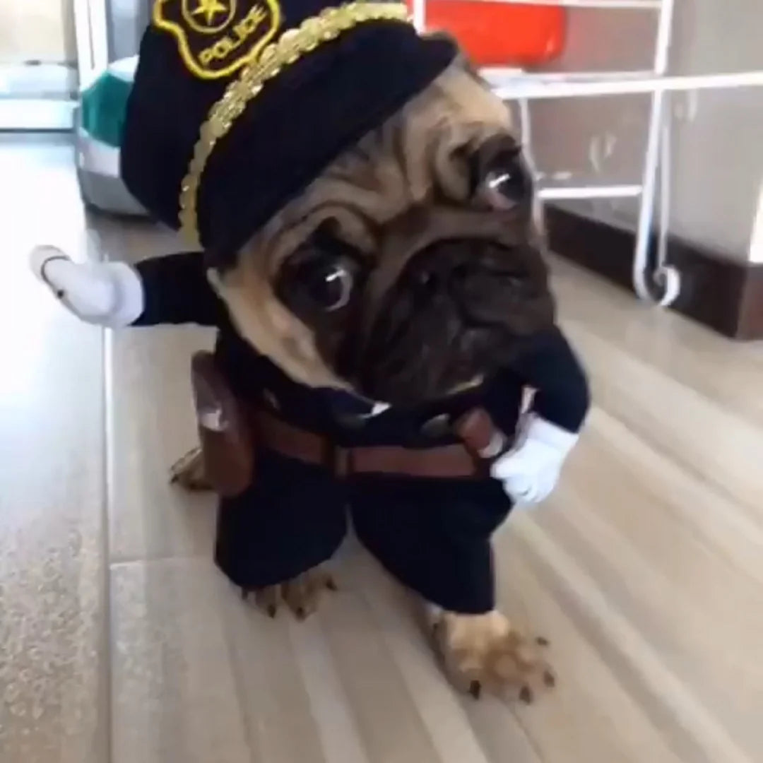 Pirate & Police Pet Costume — Funny Cosplay Outfit for Dogs & Cats