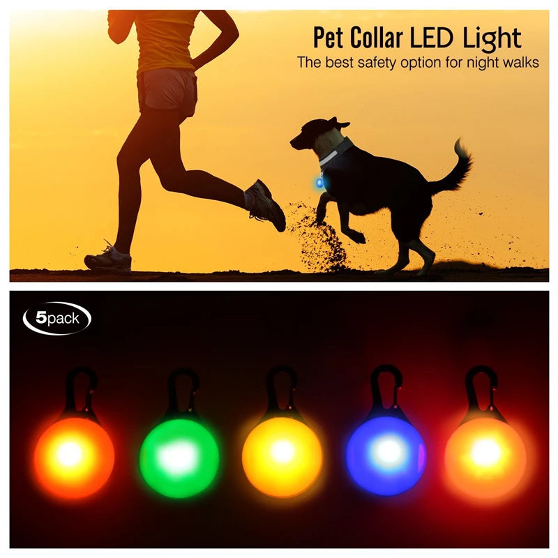 USB Glowing Safety Dog Collar — LED Night-Walk Collar (Pendant & Battery Options)