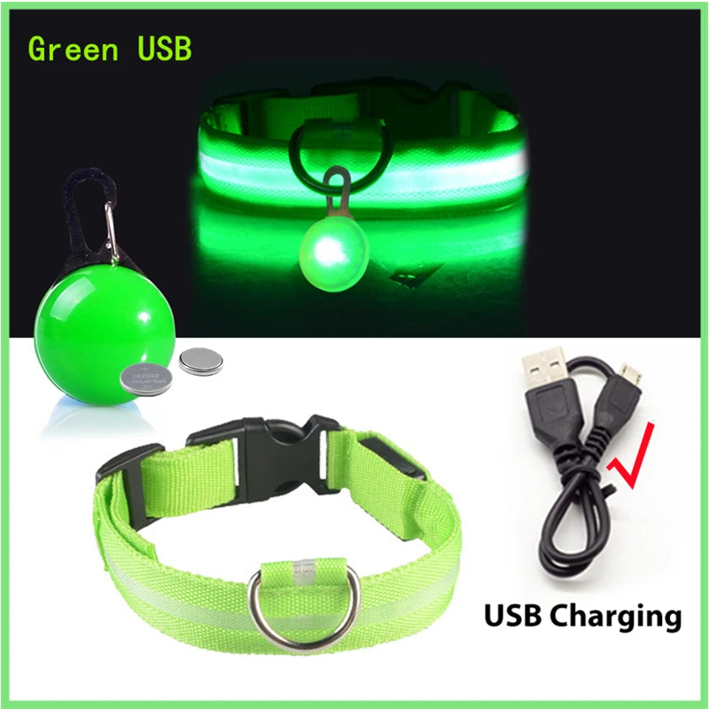 USB Glowing Safety Dog Collar — LED Night-Walk Collar (Pendant & Battery Options)