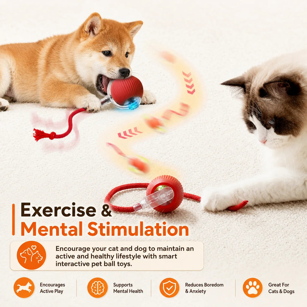 Smart Rolling Interactive Ball Toy — Motion-Activated Dog Toy