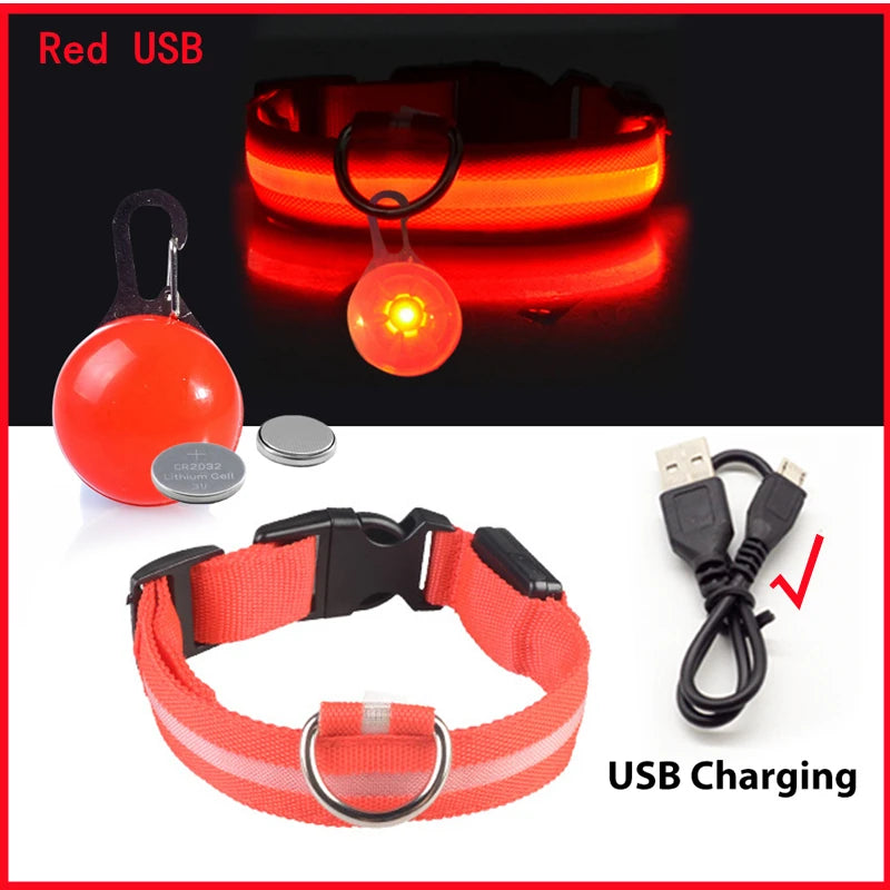 USB Glowing Safety Dog Collar — LED Night-Walk Collar (Pendant & Battery Options)