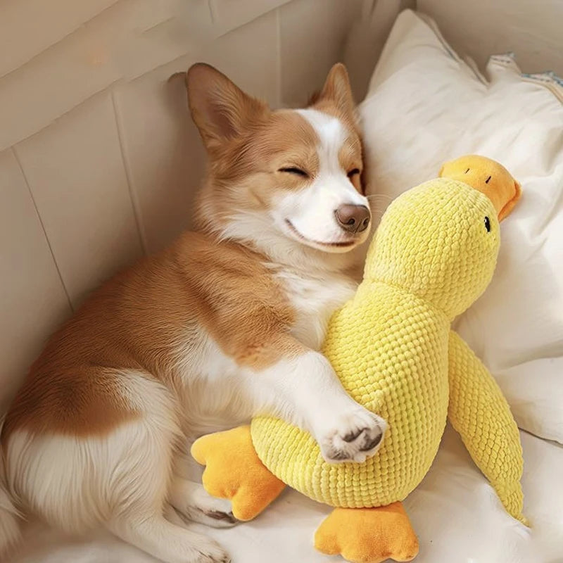 Interactive Quacking Duck Toy — Squeaky Chew Toy for Dogs