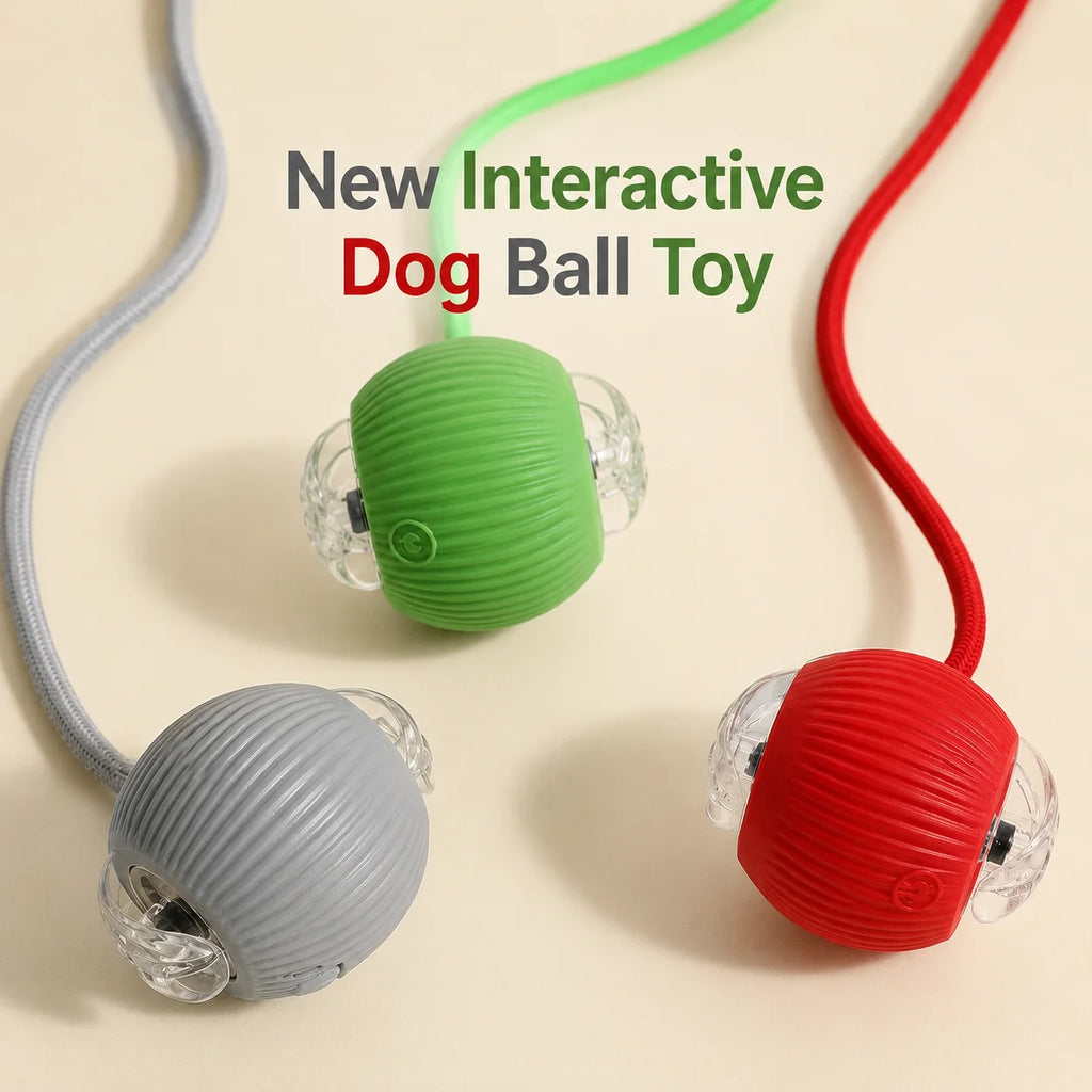Smart Rolling Interactive Ball Toy — Motion-Activated Dog Toy